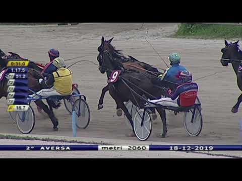 Aversa trotto 18 Dicembre 2019 - 2° Corsa