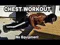 INTENSE Home Chest Workout (NO EQUIPMENT NEEDED)