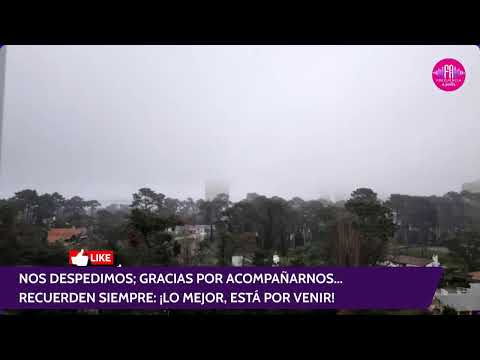 Frecuencia Abierta. Martes 28-07-26 / BEMLOCLAL. Incógnita Multimedia / Programa Completo