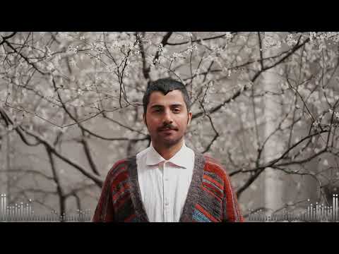 Zeyn'el - Ötme Bülbül (Official Audio)