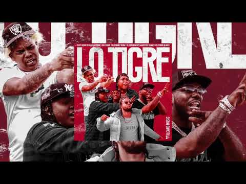 CEKY VICINY X BRAULIO FOGON X CHERRY SCOM X VARIOS ARTISTAS LO TIGRE (📀DRG HQ AUDIO📀)