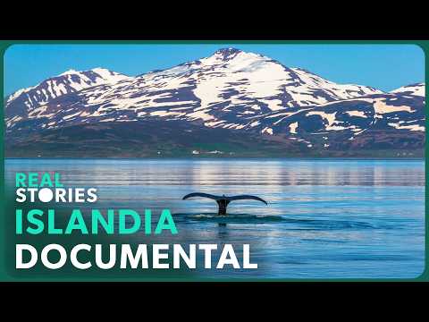 Maravillas del Mundo: ISLANDIA | Documental de Naturaleza y Fauna | Real Stories en Español