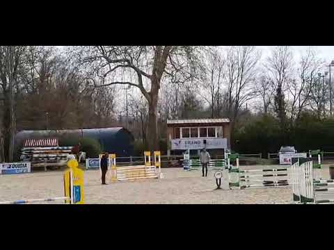 Stallion Christian x Ruiz Soler