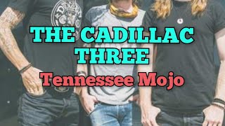 THE CADILLAC THREE  Tennessee Mojo