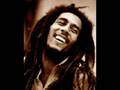 Bob Marley - Put it on (nice version)