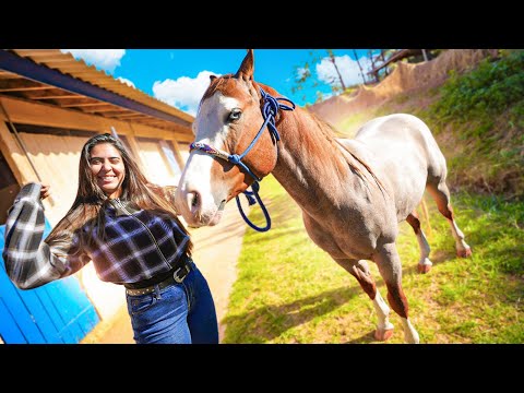 AQUI TEM MAIS DE 30 CAVALOS!! ENCONTREI O MEU CAVALO DOS SONHOS