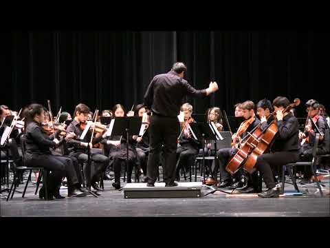 NCP Orchestras Spring Concert 2019