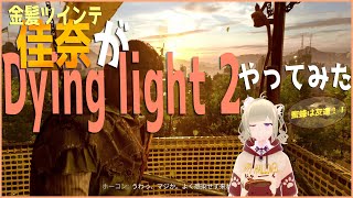 佳奈がDying light 2やってみた🌼🐝