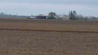 Los cadetes de Linares Por que renuncias