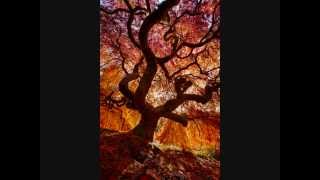 Papa Can You Hear Me Karaoke-Lower Key