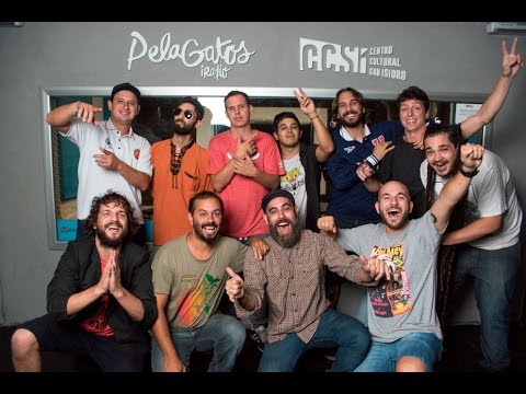 PelaGatos TV - Presentación 2017 - Apertura