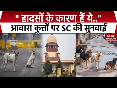 Supreme Court on Delhi Street Dogs:आवारा कुत्तों पर SC की सुनवाई Zero Tolerance | CM Rekha |Dog Bite