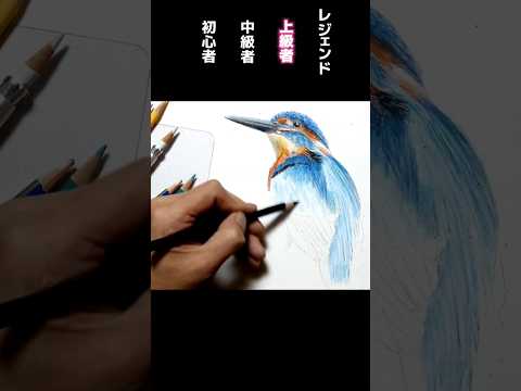 色鉛筆画レベル別鳥の描き方 #イラスト #shorts