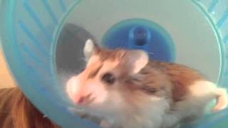 run theodore run!!!!