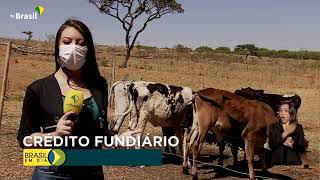 Miniatura do vídeo