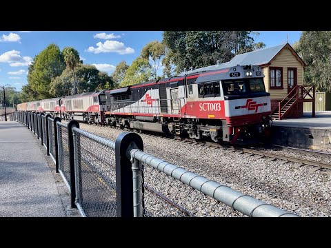 SCT Freight - 5MP9 - SCT003, CSR010, CSR008, CSR017