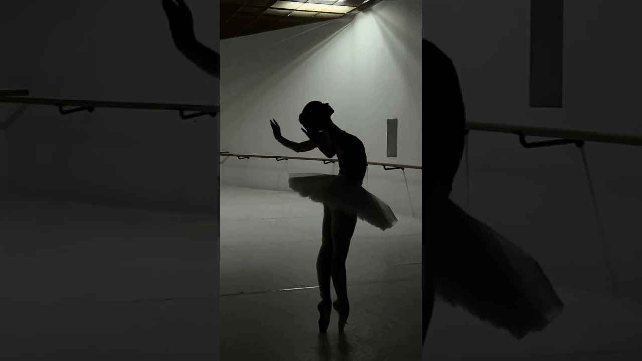 Promotional video thumbnail 4 for Anischenko Ballet