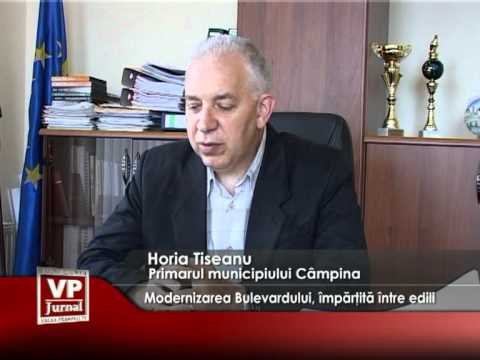 Modernizarea Bulevardului, împărţită între edili
