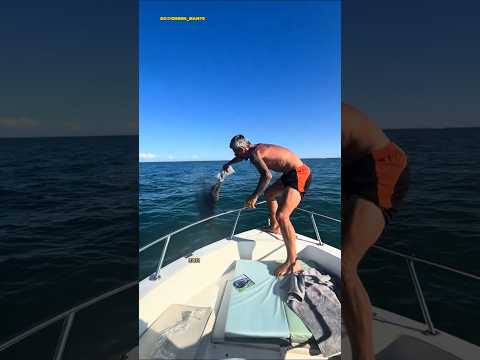 Bagian 215 | Momen Terakhir Mereka 🥹