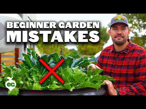 The Biggest Gardening Mistakes for Beginner Gardeners