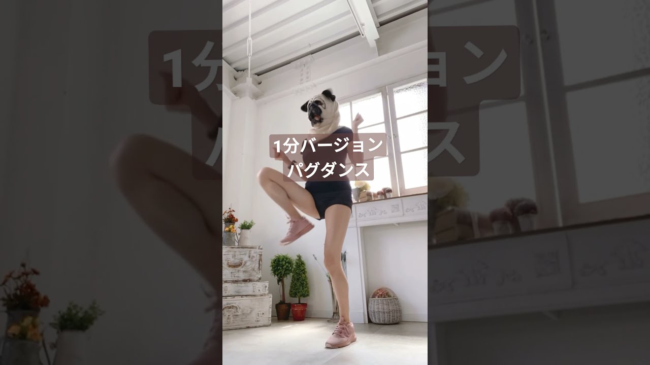 1分バージョンパグトレ有酸素