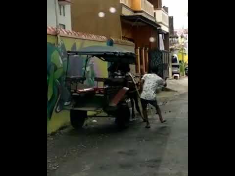 Improving the lives of Carriage Horses in Jakarta