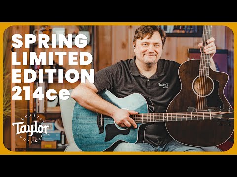 Taylor Spring 2023 Limited Edition 214ce Deluxe Guitar Demo & Review | Gorgeous New Colors