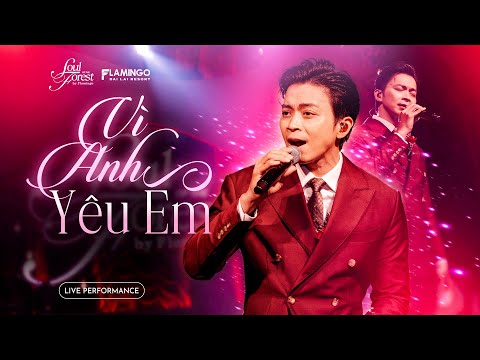 VÌ ANH YÊU EM - Lân Nhã | Live at Soul of The Forest