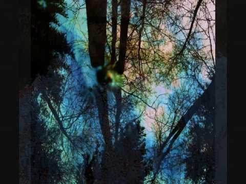 Crashed By Car - Mongolian Hi-Fi