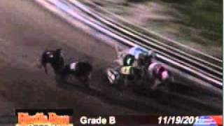 RJ's Cpommnader (# 1) Bluffs Run Grade B 11.19.10.wmv