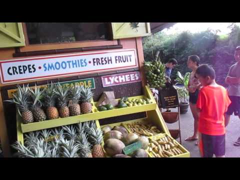 download lagu mp3 mp4 Fruit Stand Near Me, download lagu Fruit Stand Near Me gratis, unduh video klip Fruit Stand Near Me