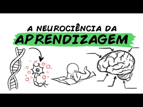The Neuroscience of Learning
