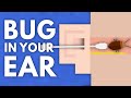 What If A Bug Gets Stuck In Your Ear