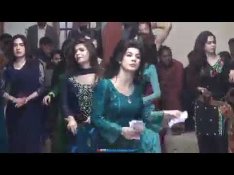 Alwo zama ||Dolphin Ayan ||New Dance 2021.