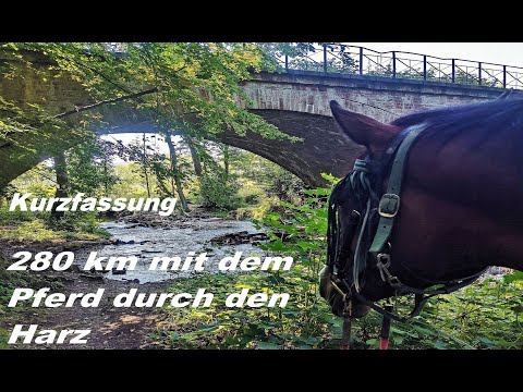 Short version: 280 km horseback riding tour through the Harz Mountains - Trail Riding Documentary
