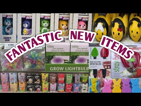 DOLLAR TREE * NEW ARRIVALS! SPRING 2026