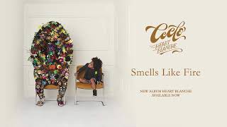 SMELL LIKE FIRE  - CEE LO ..........