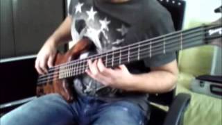 Bring The Rain The Brand New Heavies Bass Cover