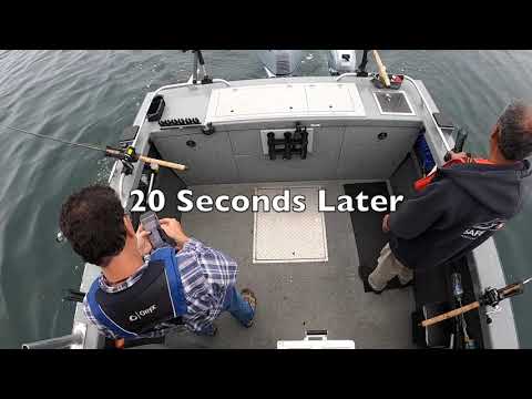 The Excitement of a Takedown - Salmon Fishing