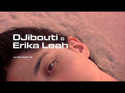 DJibouti ft. Erika Leah // Wanna B [Critique]