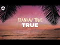 Spandau Ballet True Lyrics