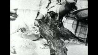 SLIM CESSNA'S AUTO CLUB ~ COMMANDMENT 4 (OFFICIAL VIDEO)