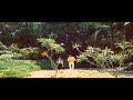 Mtune Song Per Vachalum Vaikamaவச்சாலும் வைக்கம போனலும் 