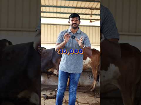 Cow Dung Dewatering Machine