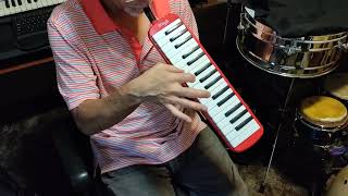 Video thumbnail for Stagg Melodica Performance by Boogie72 Productions