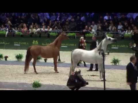 Memories of Paris 2017 - Part 6 - Senior Female Championship