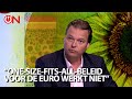 One-size-fits-all-beleid voor de euro werkt niet