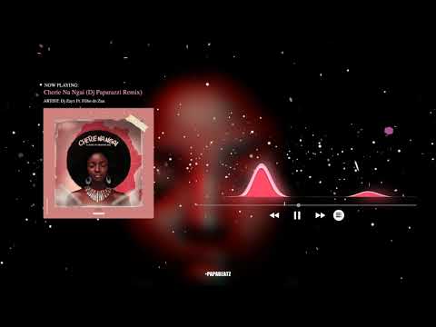 DJ Zayx & Filho Do Zua - Cherie Na Ngai (DJ Paparazzi Remix)