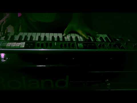 Roland Paraphonic 505 Synthesizer