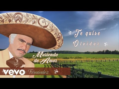Vicente Fernández - Quisiera Saber (Te Quise Olvidar) (Cover Audio)